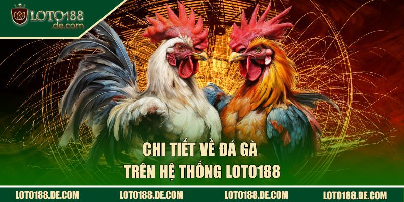 Chi tiết về đá gà trên hệ thống LOTO188
