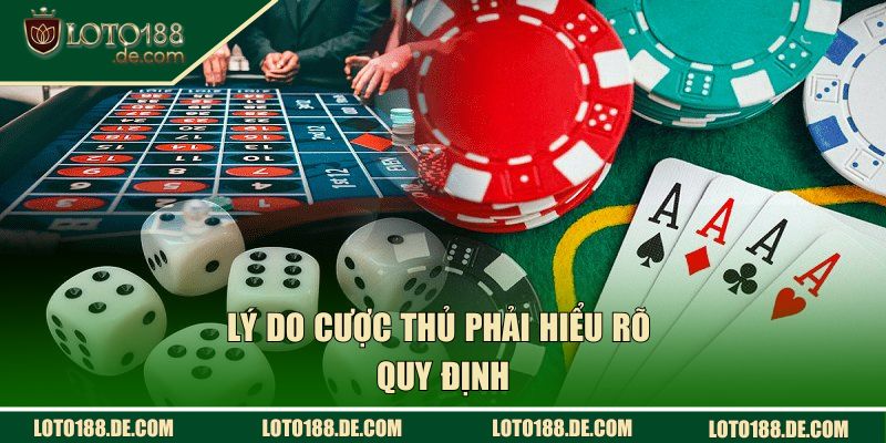 Miễn Trừ Trách Nhiệm LOTO188 | Quy Định Cược Thủ Cần Nắm 3 Lý do cược thủ phải hiểu rõ quy định tại sân chơi