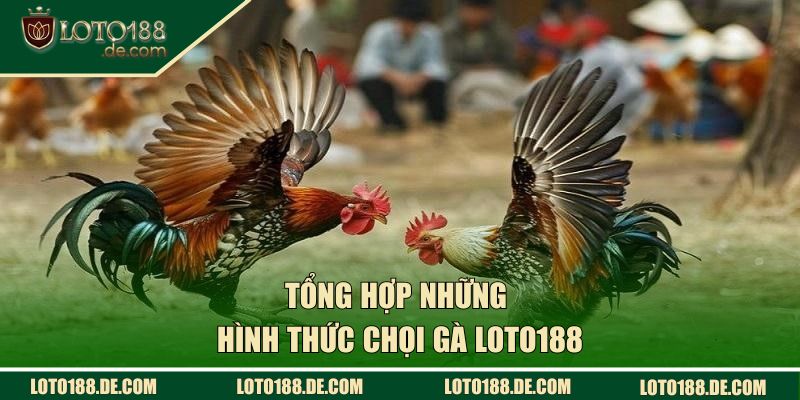 Tổng hợp những hình thức chọi gà LOTO188